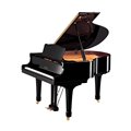 YAMAHA_Grand_Pia_4c4fedba5d8d7.jpg