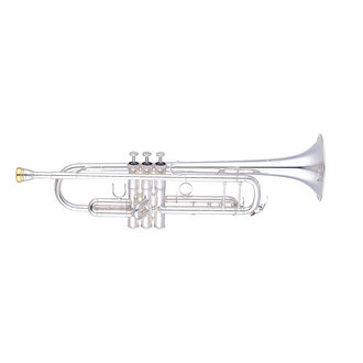 YAMAHA_Trumpet_X_4c6e47b5095b0.jpg