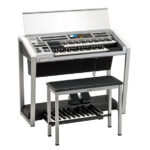 (Brand new) STAGEA ELS-02C Custom