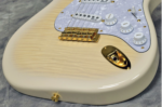Exclusive Richie Kotzen Stratocaster See-through White Burst  Fender made in Japan - Image 12
