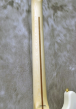 Exclusive Richie Kotzen Stratocaster See-through White Burst  Fender made in Japan - Image 8