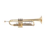 YTR-8335W YAMAHA Trumpet