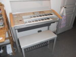 (USED) Yamaha Stagea ELS-01 for sale - located Sydney Australia (AU$3,500) - Image 3